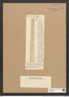 Rhabdosira moluccensis Ehr. (de-Toni-Nr.: Genus 72, Species 2706) Zeichnungen Sammlung Grunow Nr. 5544 (NHMW-BOT-W0373999)